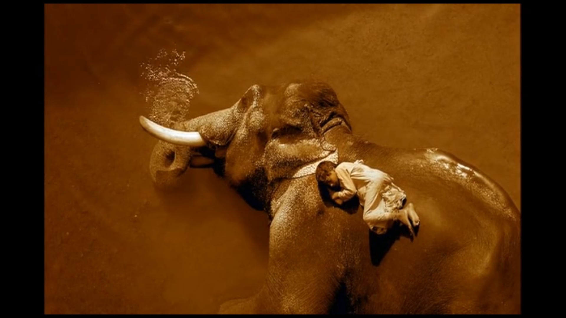 尘与雪剧照的剧照