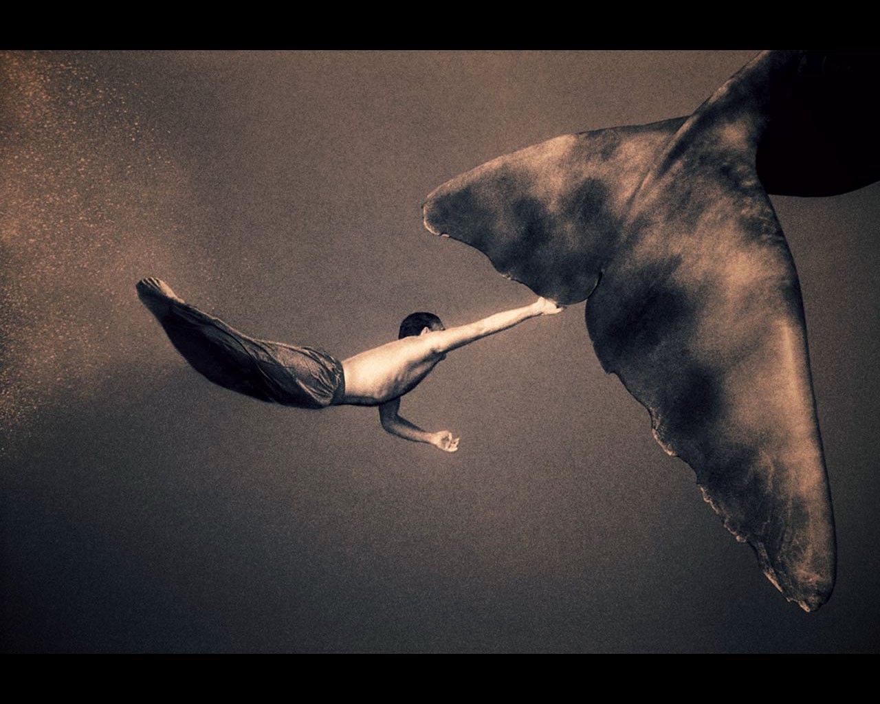 尘与雪剧照的剧照