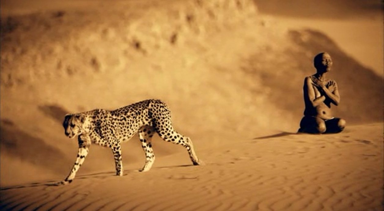 尘与雪剧照的剧照
