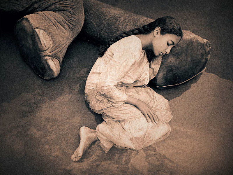 尘与雪剧照的剧照