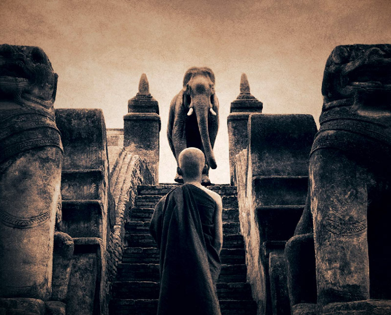 尘与雪剧照的剧照