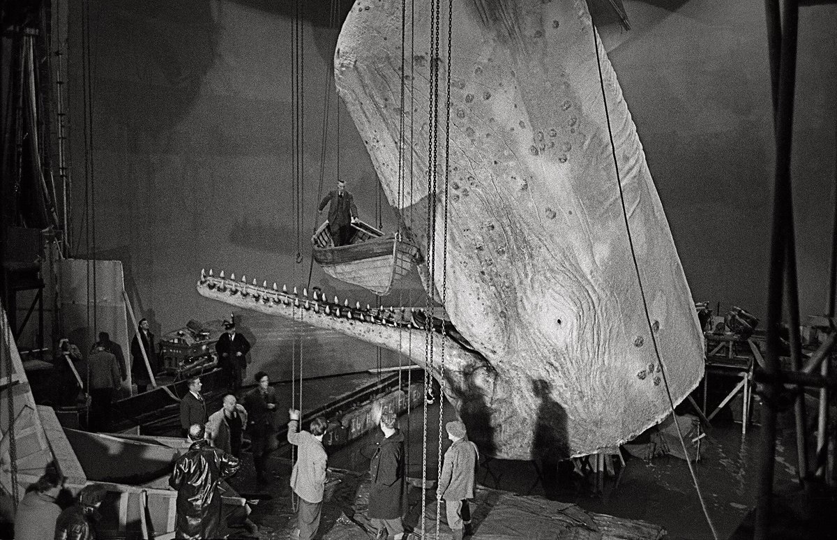 白鲸记剧照的剧照