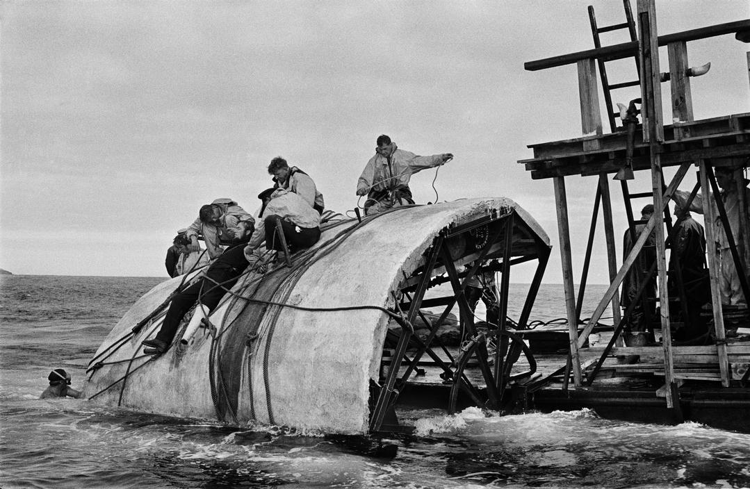 白鲸记剧照的剧照