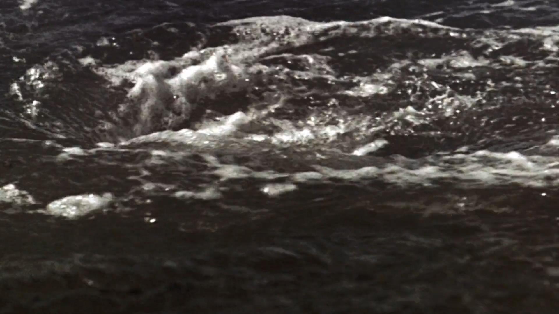 白鲸记剧照的剧照