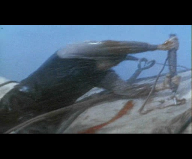 白鲸记剧照的剧照