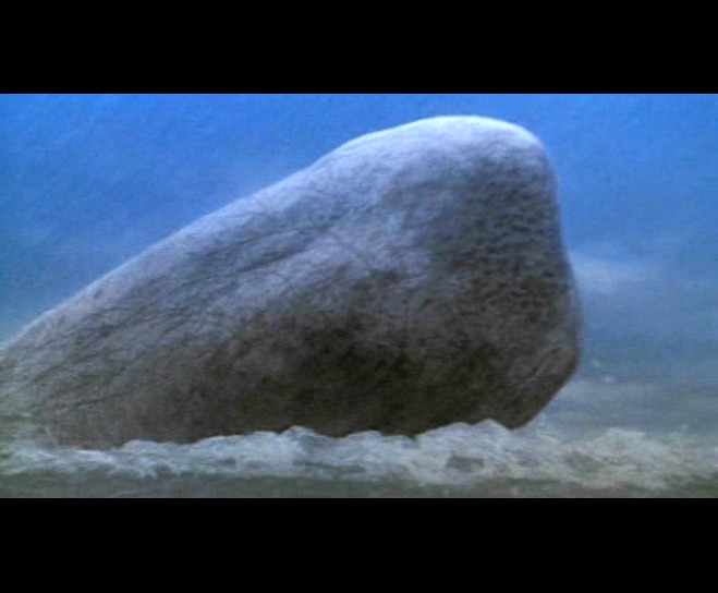 白鲸记剧照的剧照