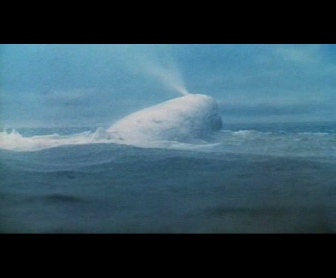 白鲸记剧照的剧照