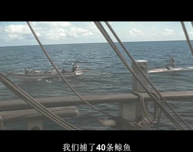 白鲸记剧照的剧照