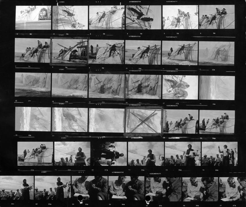 白鲸记剧照的剧照