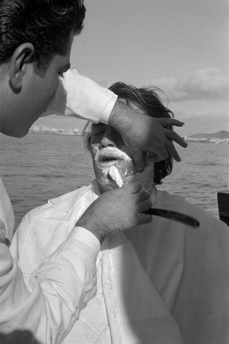 白鲸记剧照的剧照