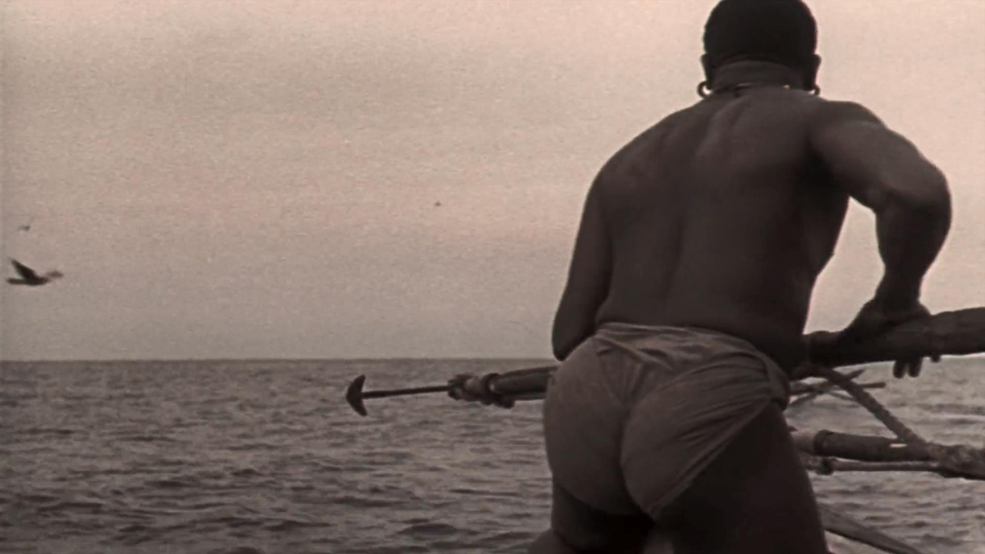 白鲸记剧照的剧照