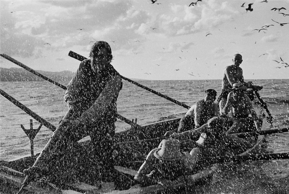 白鲸记剧照的剧照