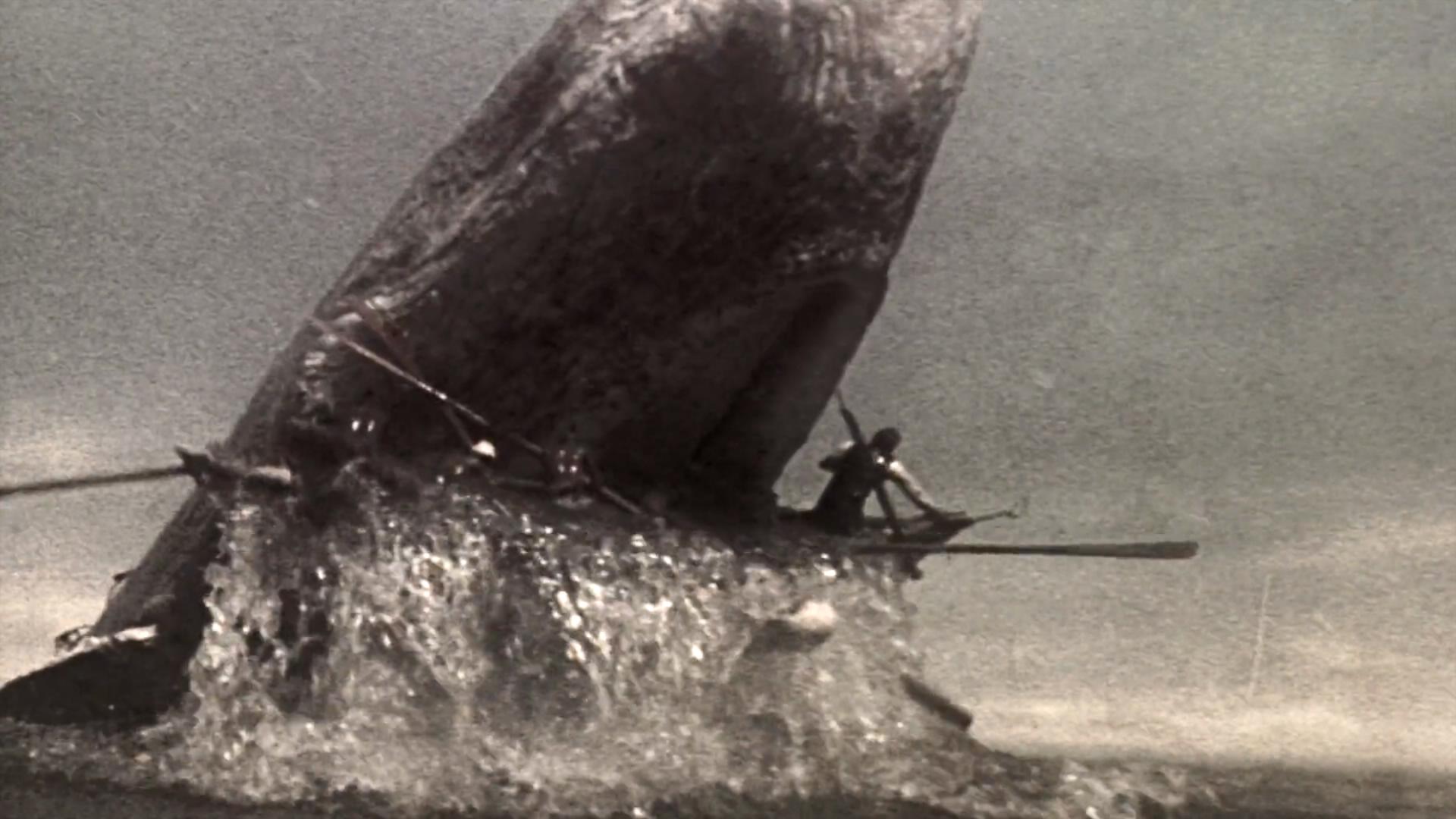 白鲸记剧照的剧照