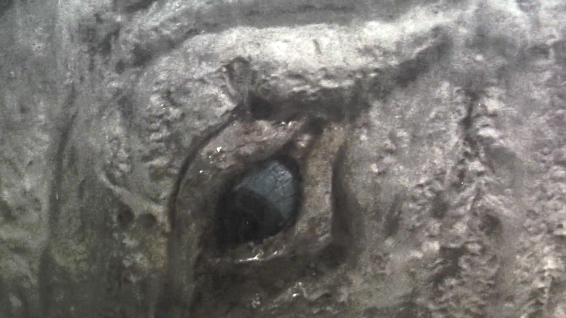 白鲸记剧照的剧照