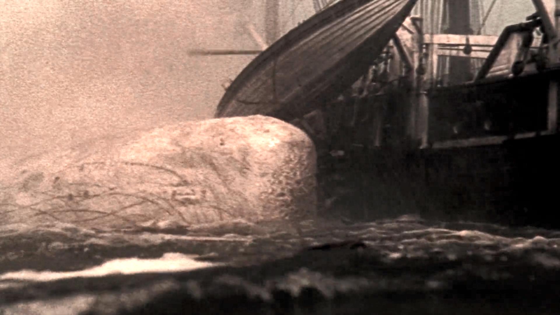 白鲸记剧照的剧照