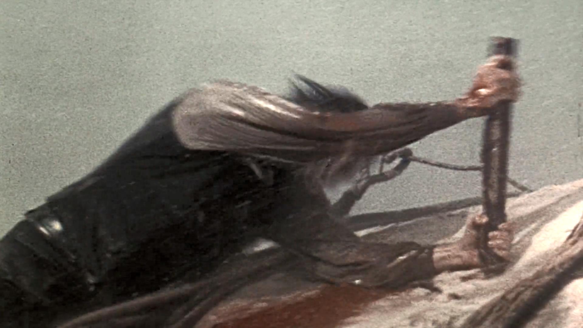 白鲸记剧照的剧照