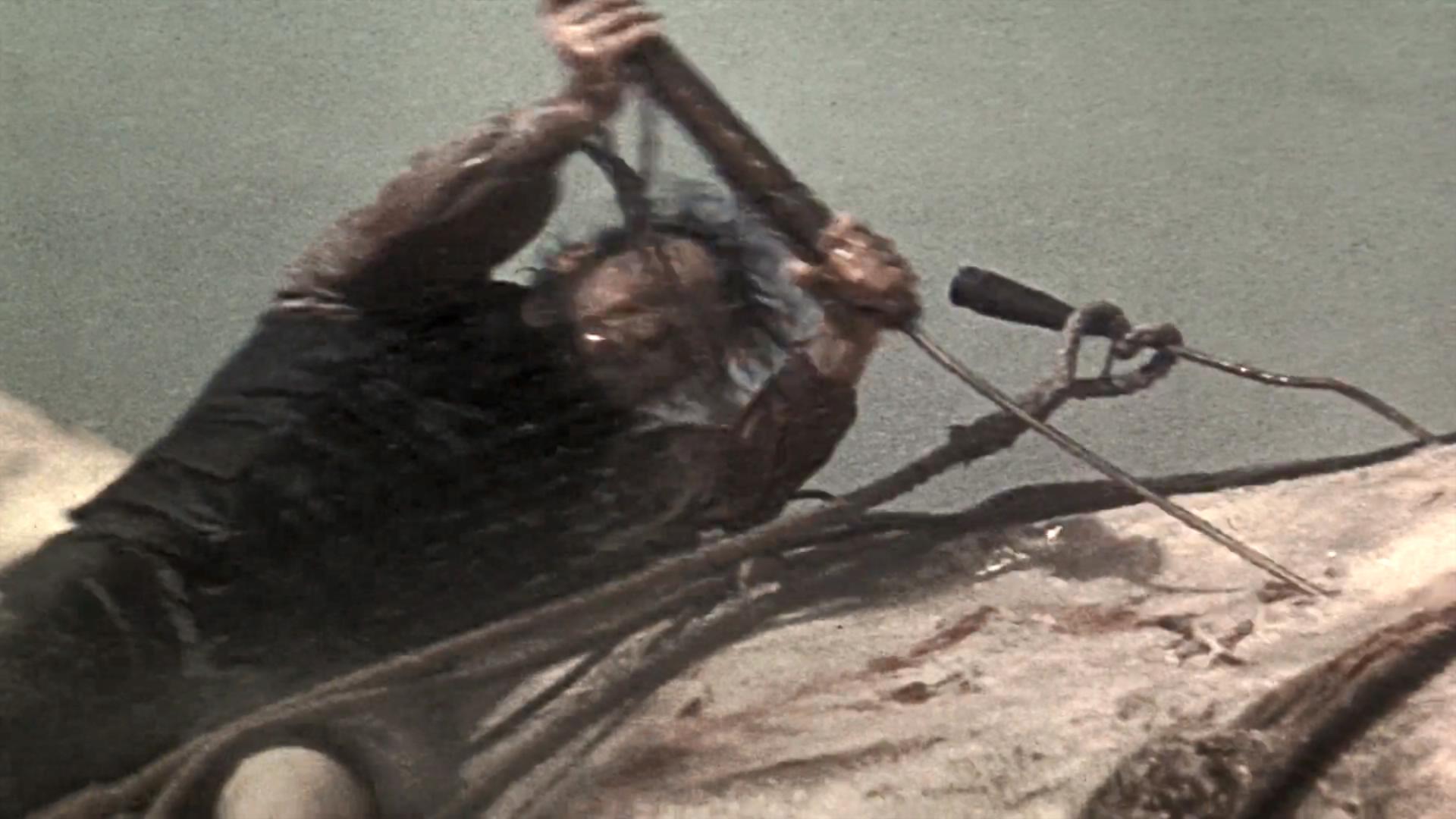 白鲸记剧照的剧照