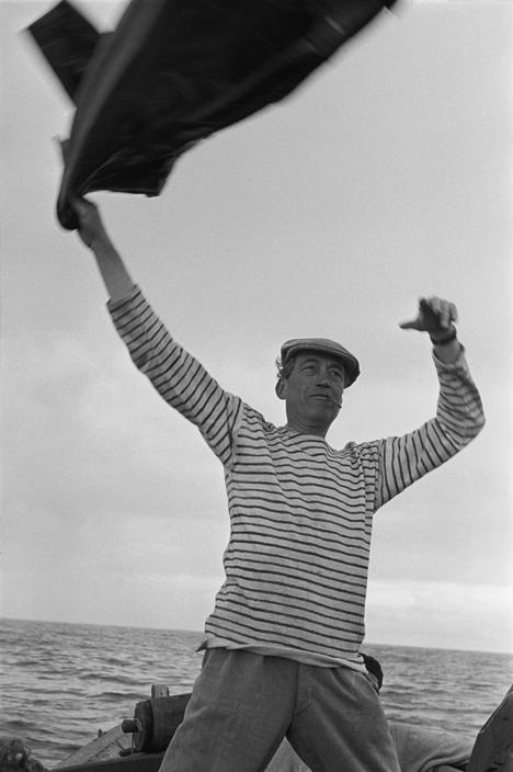 白鲸记剧照的剧照