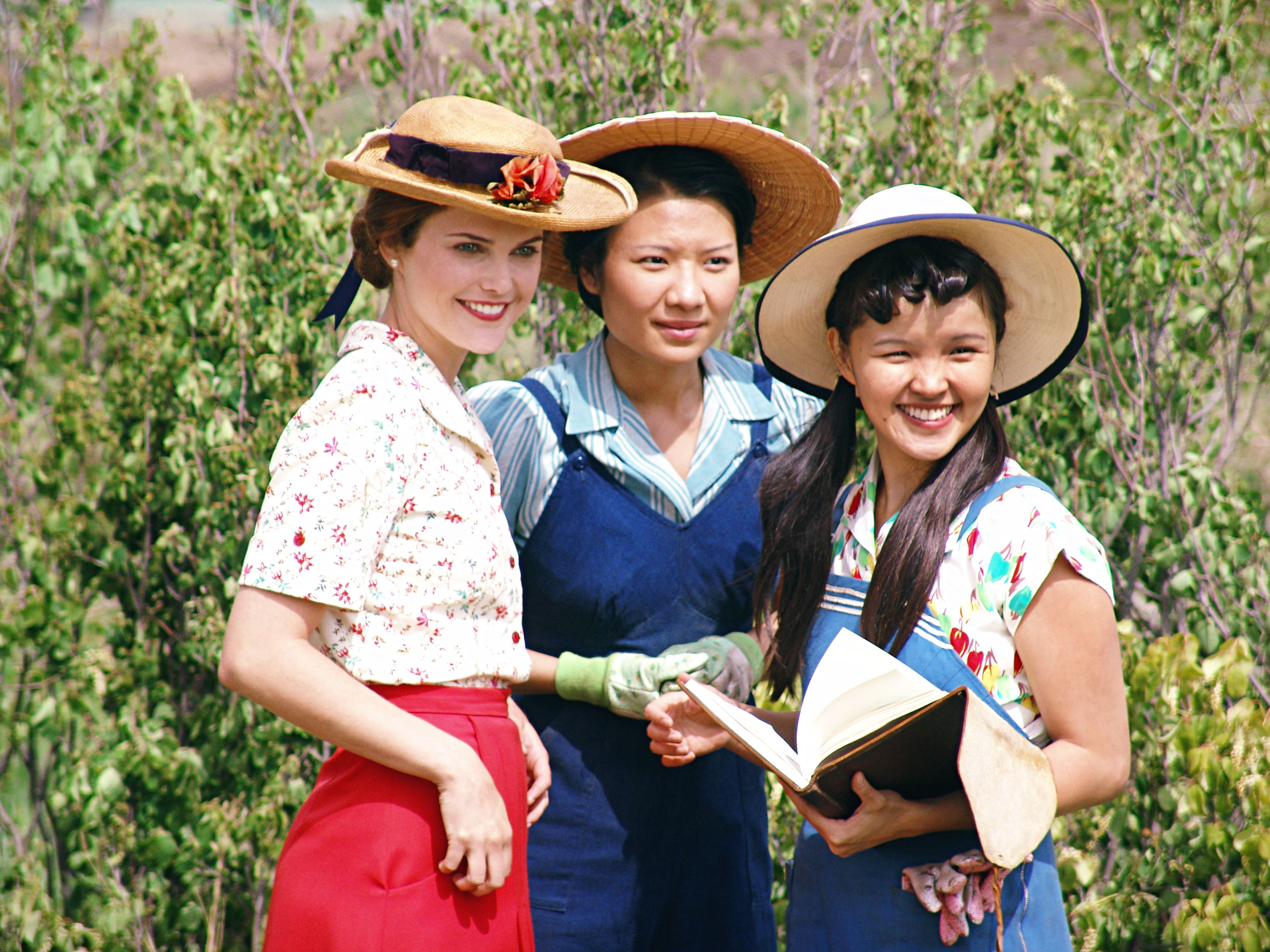 平凡岁月的魅力剧照的剧照