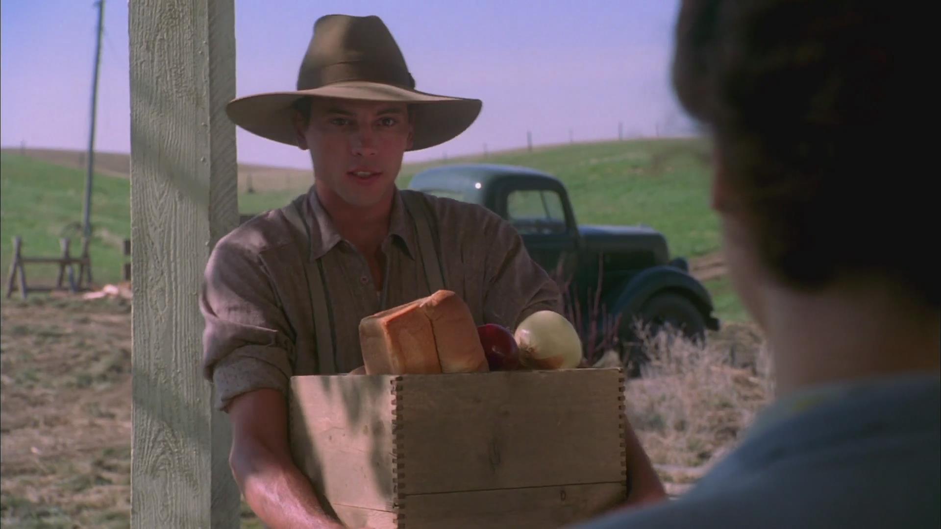 平凡岁月的魅力剧照的剧照