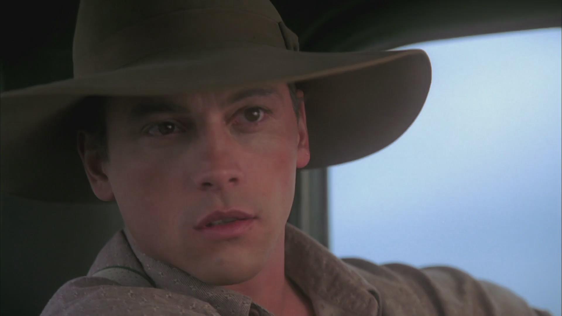 平凡岁月的魅力剧照的剧照