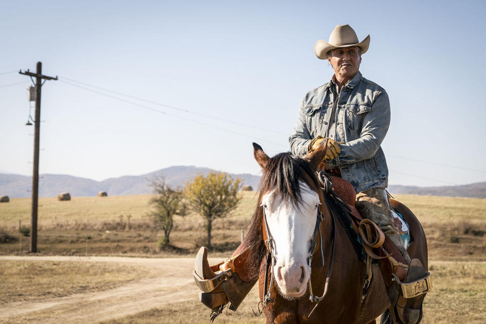 第一滴血5：最后的血剧照的剧照