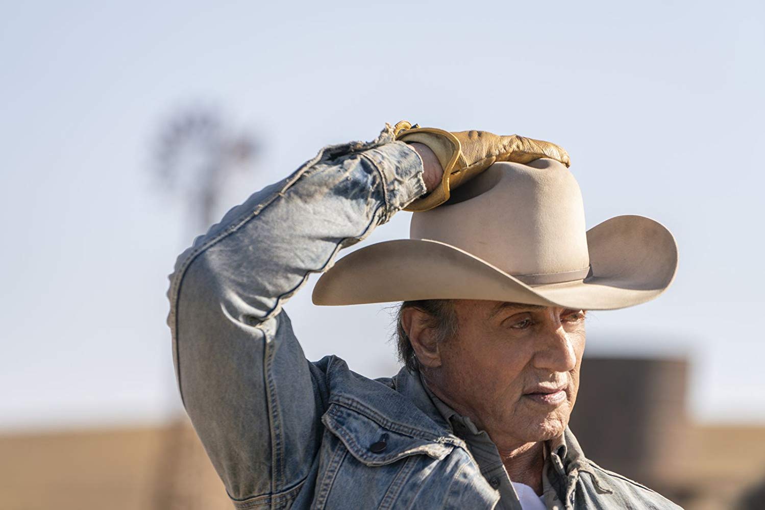 第一滴血5：最后的血剧照的剧照