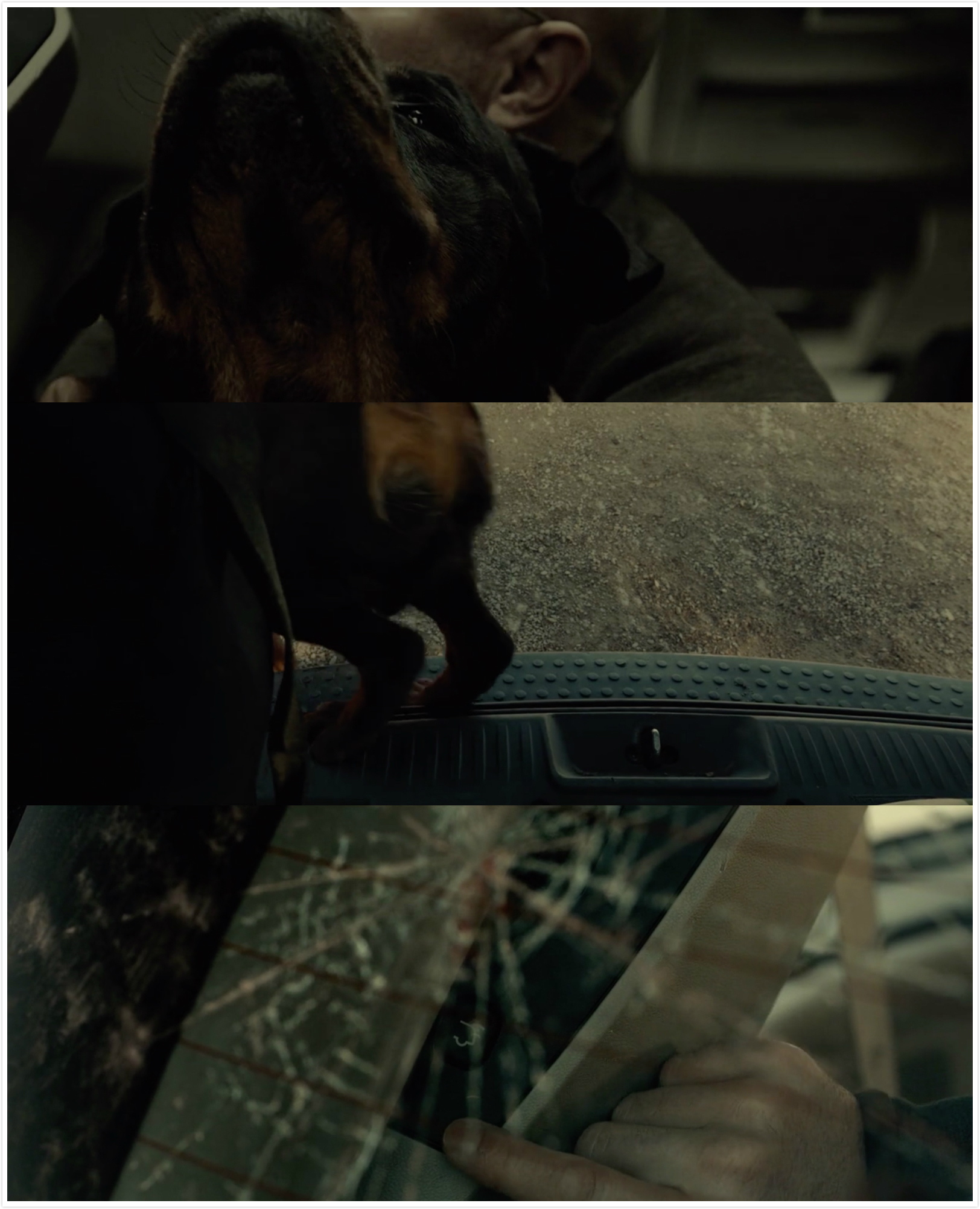 死寂剧照的剧照