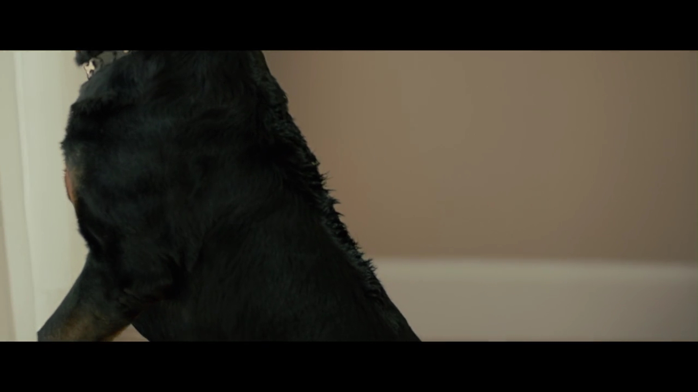 死寂剧照的剧照