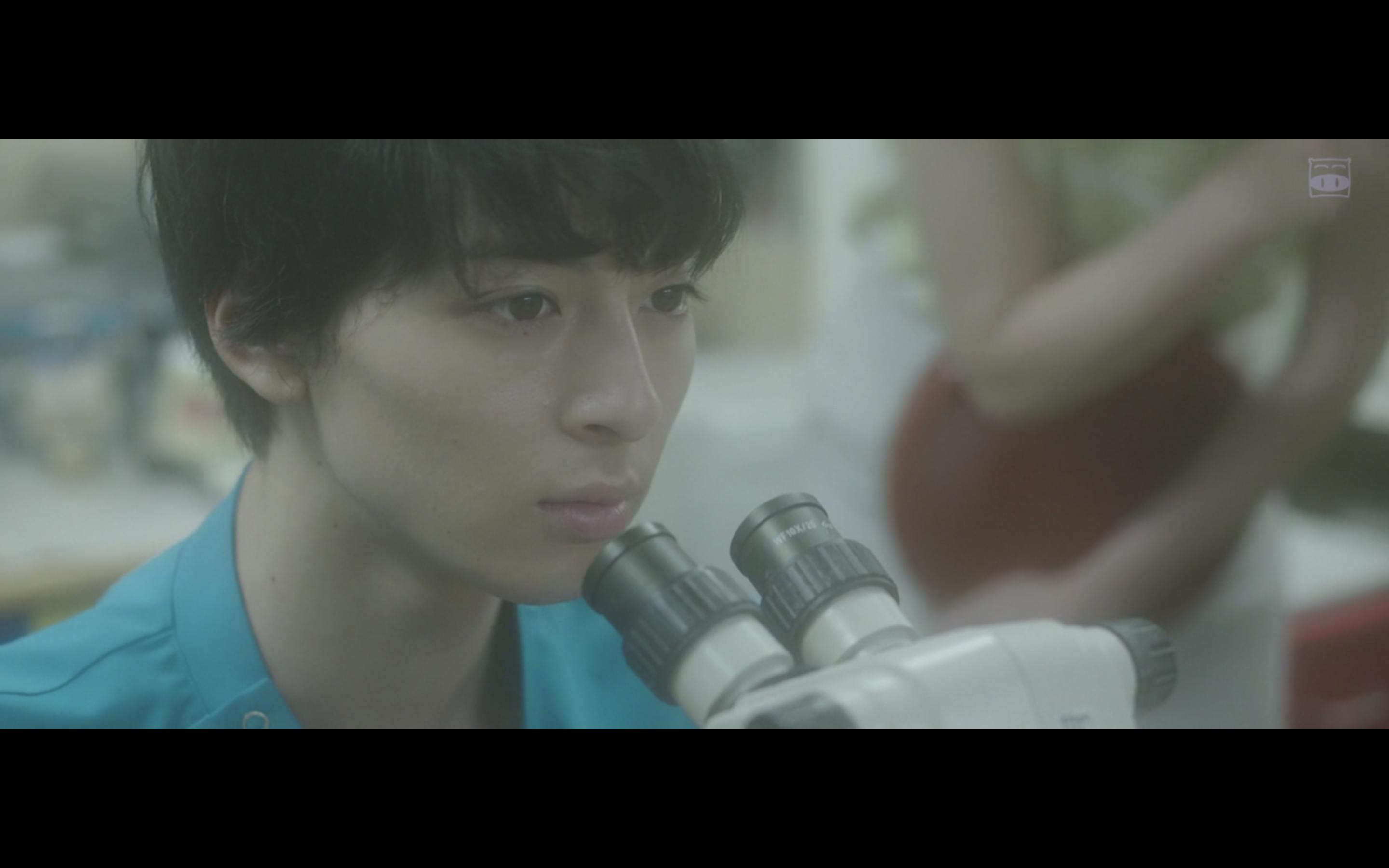 笑脸的另一面剧照的剧照