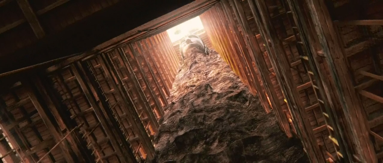 生死格斗剧照的剧照