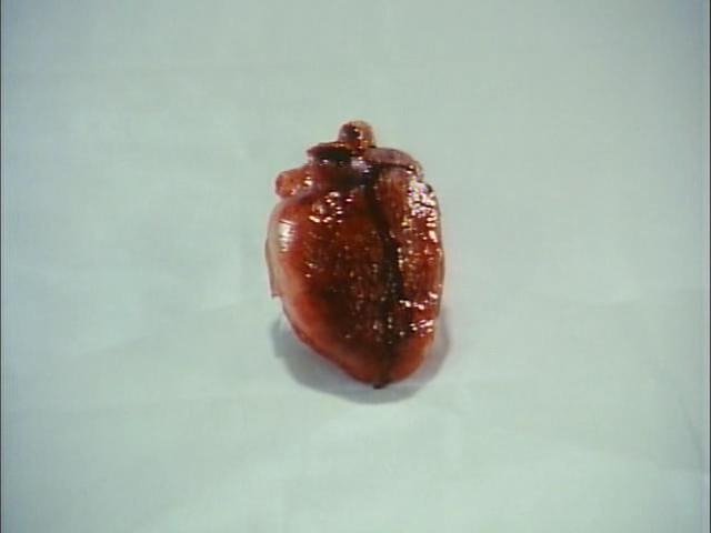 活跳尸2剧照的剧照