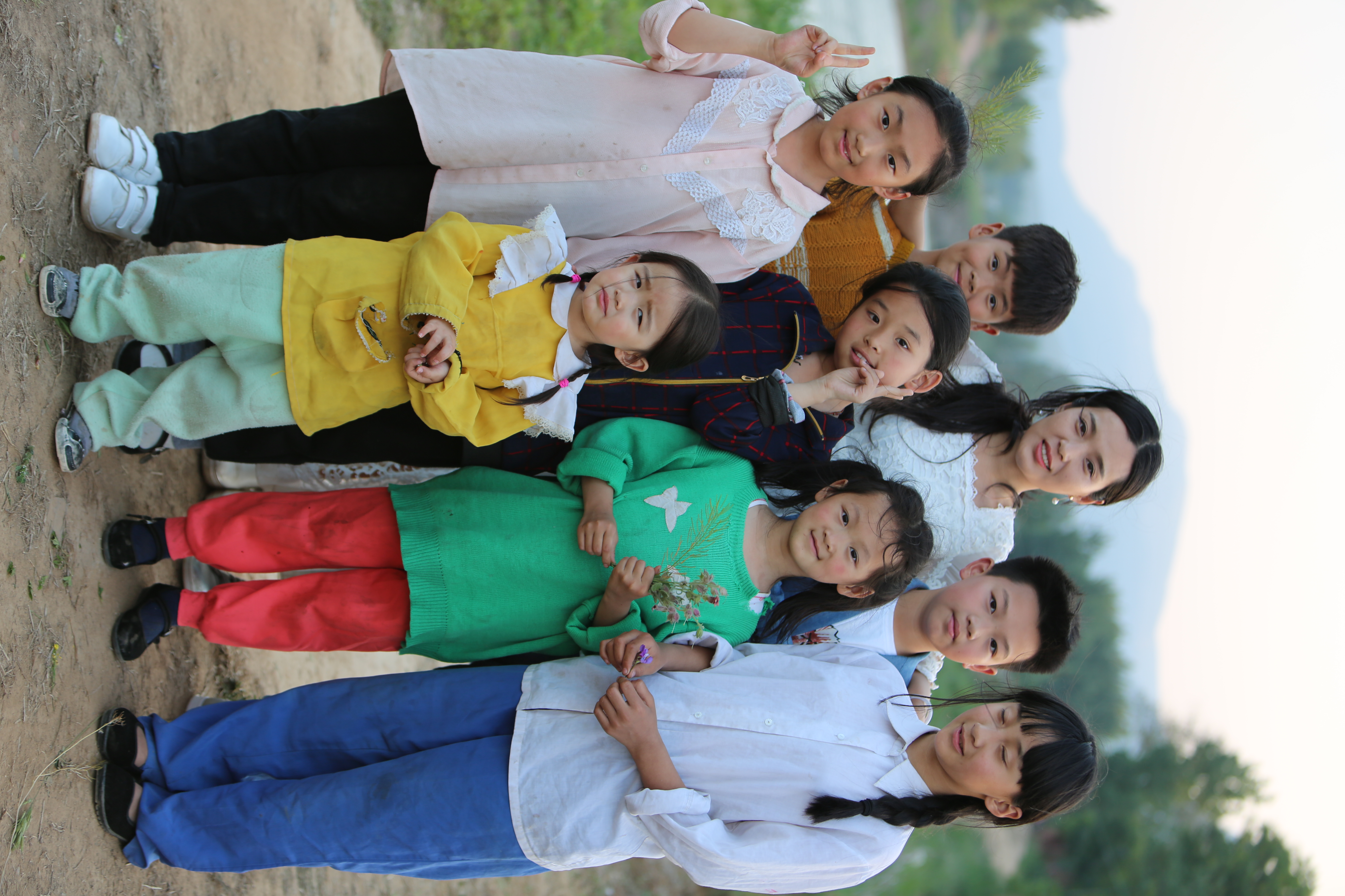 格桑花开的时候剧照的剧照