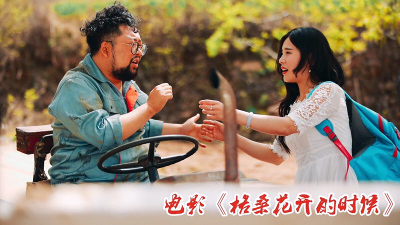 格桑花开的时候剧照的剧照