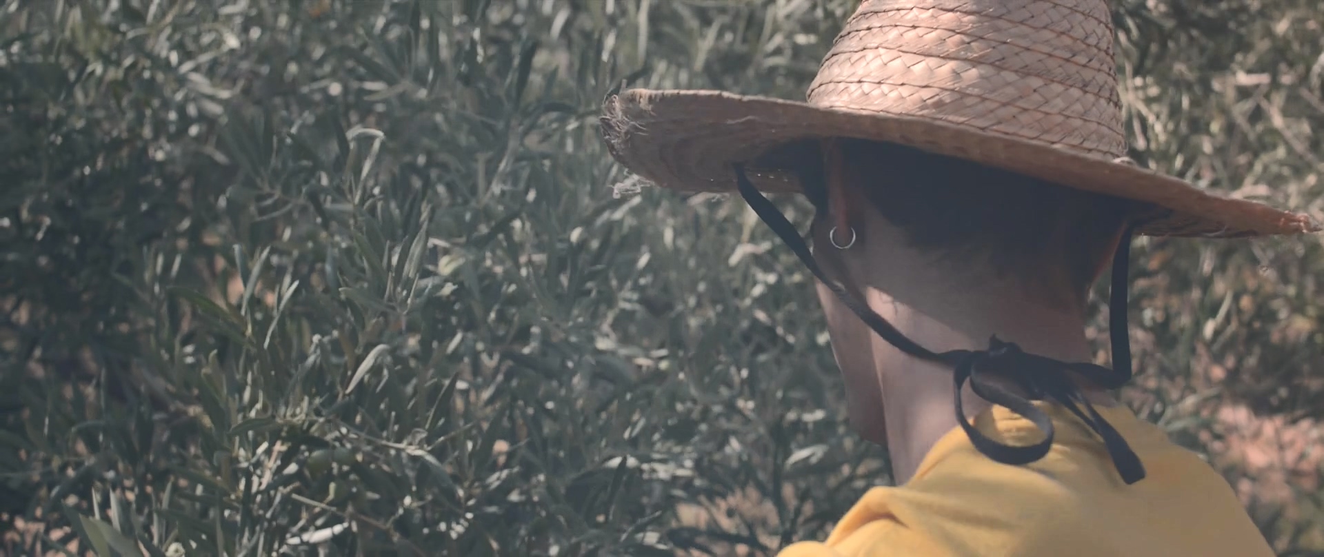 油画剧照的剧照