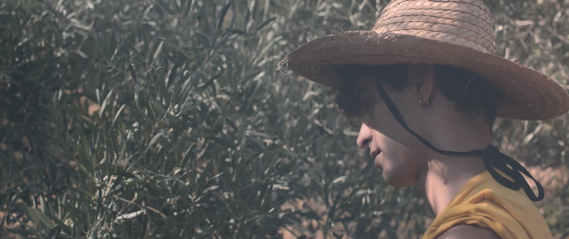 油画剧照的剧照