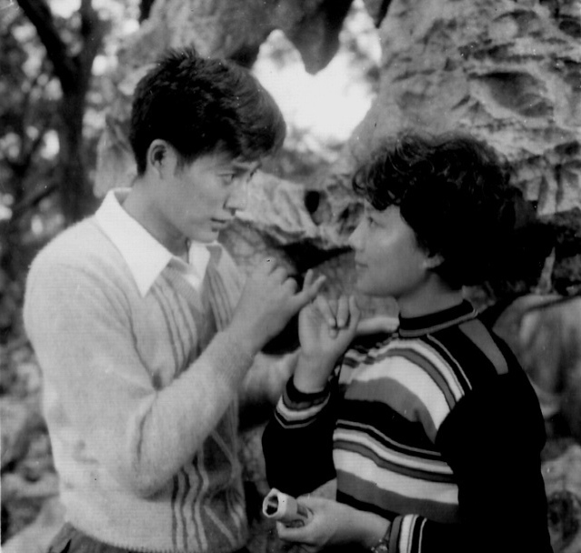 爱情啊，你姓什么？剧照的剧照