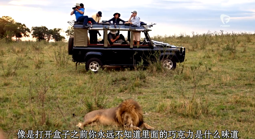 构建《疯狂动物城》剧照的剧照