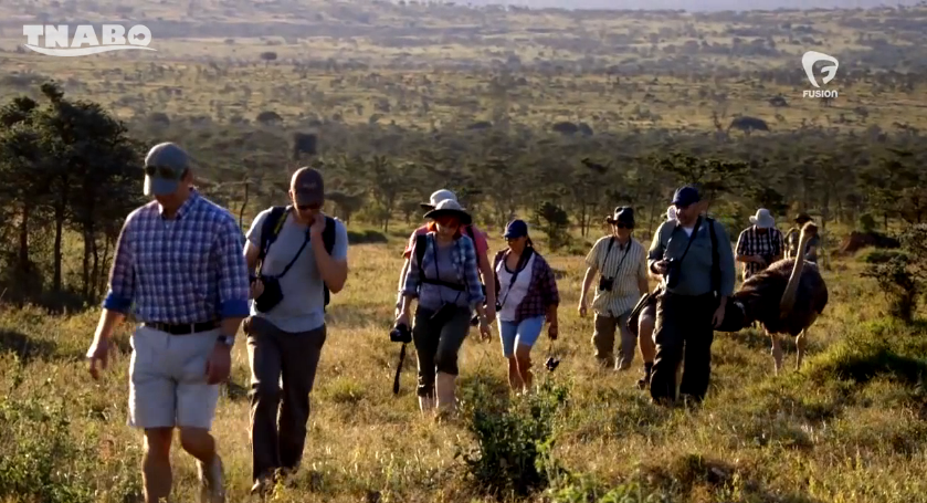 构建《疯狂动物城》剧照的剧照