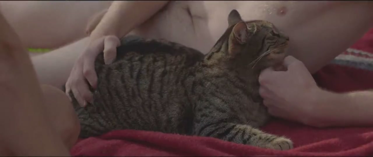 公猫剧照的剧照