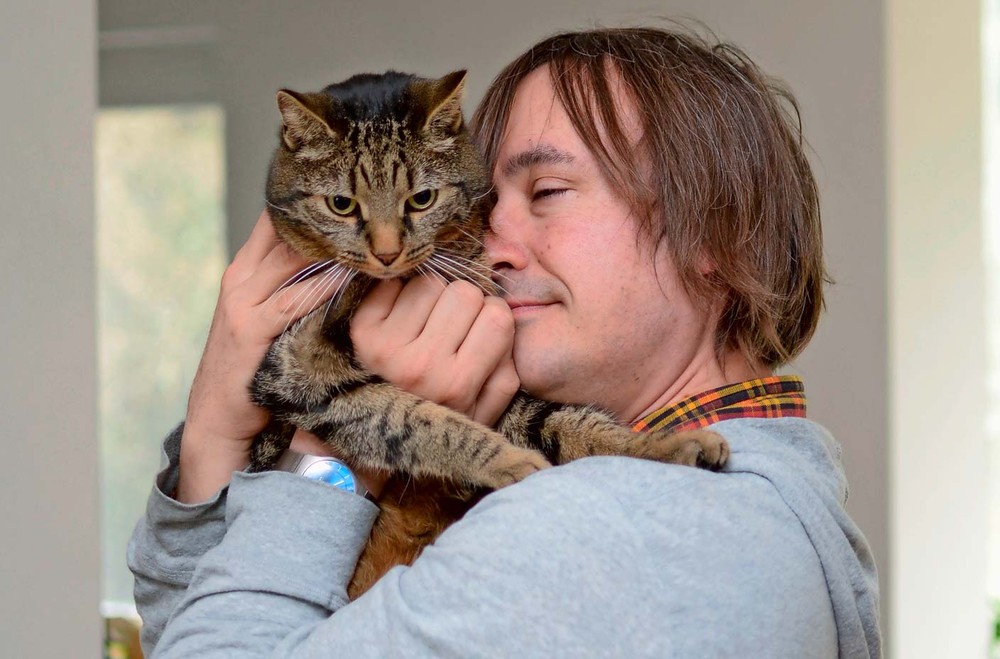 公猫剧照的剧照