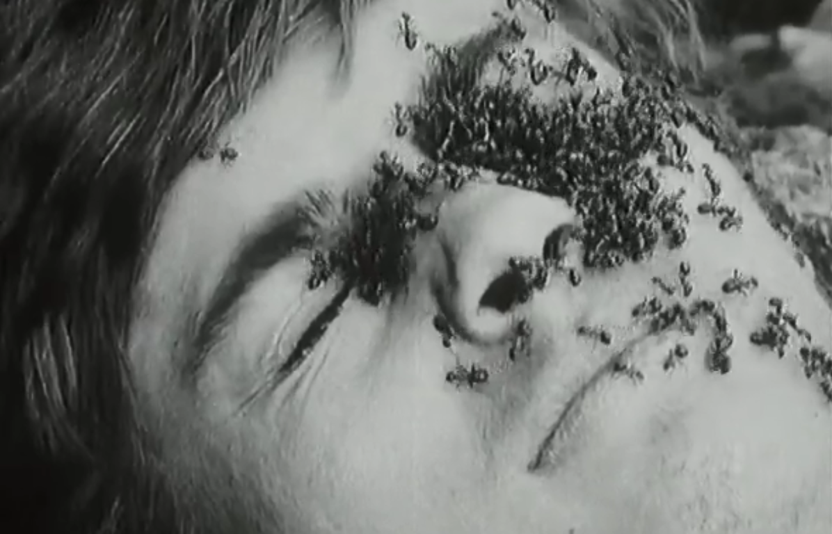 夜之钻剧照的剧照