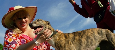 付出与收获剧照的剧照