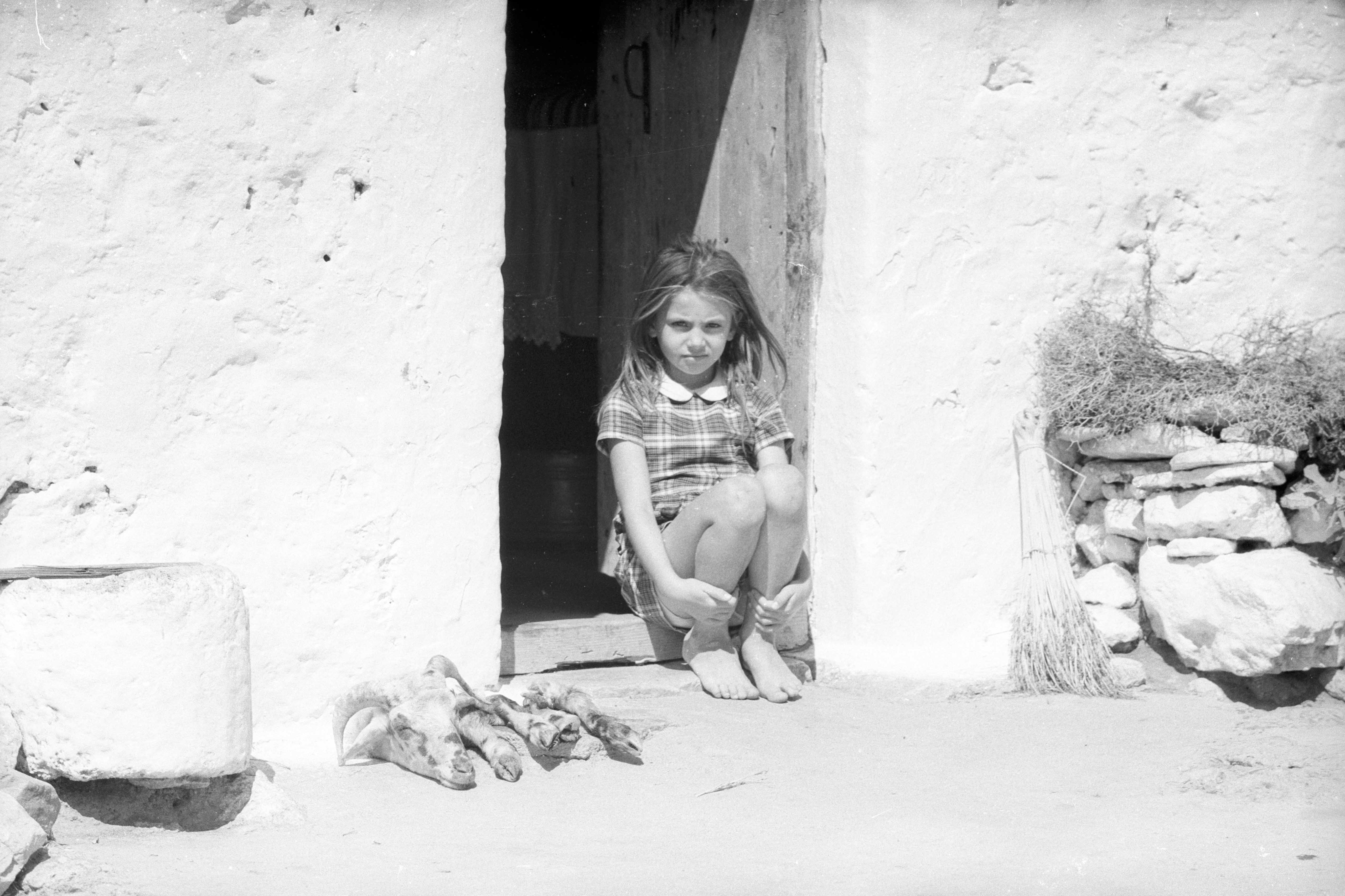 生命的标记剧照的剧照