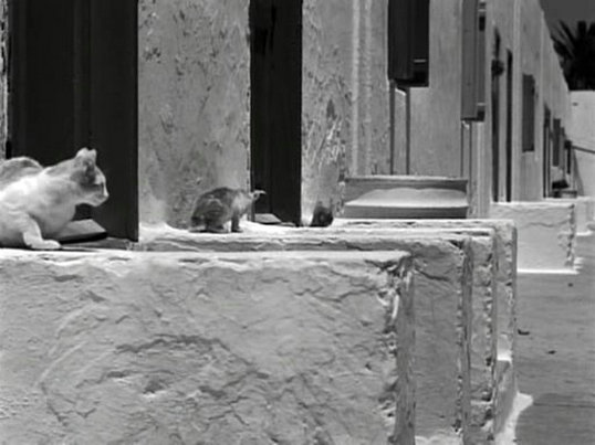 生命的标记剧照的剧照