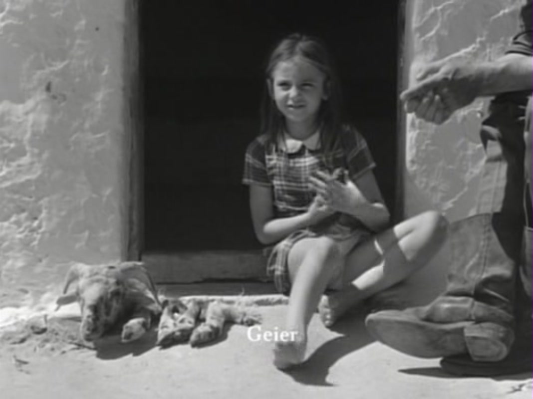 生命的标记剧照的剧照