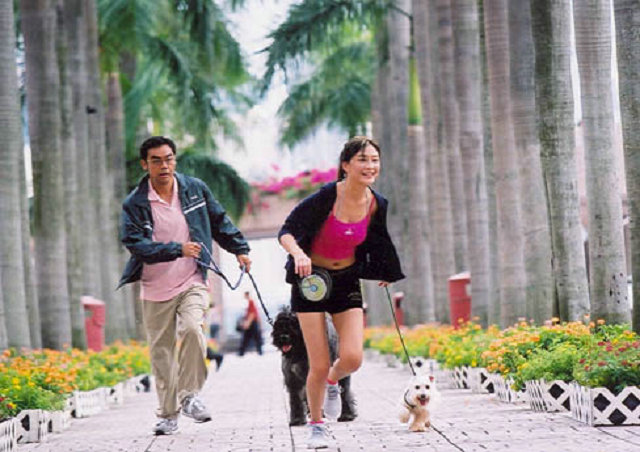 七年很痒剧照的剧照