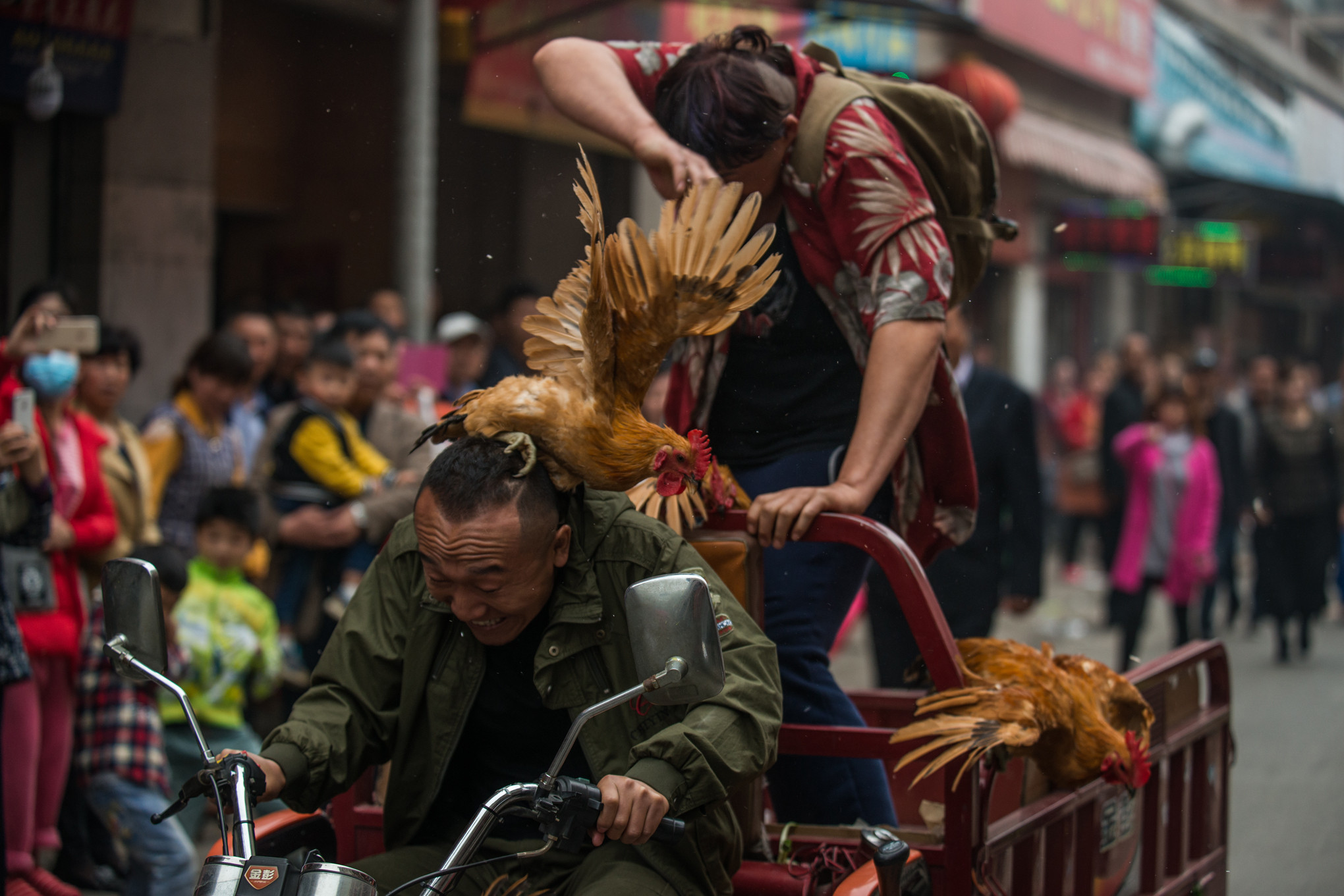 追宝狂想曲剧照的剧照