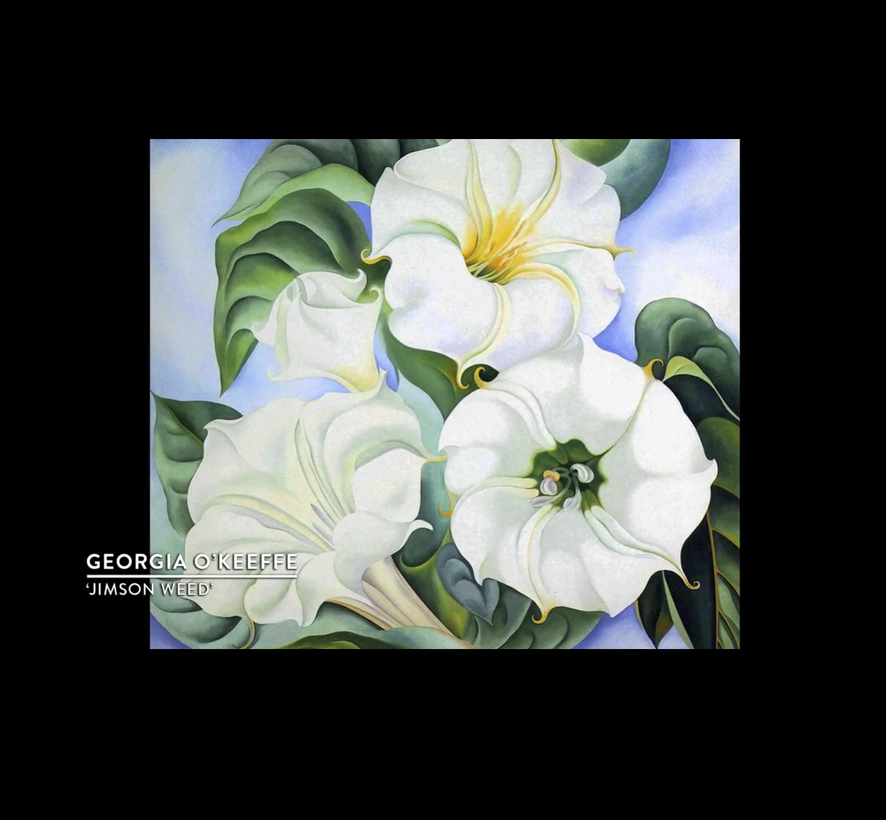 草间弥生的生活剧照的剧照