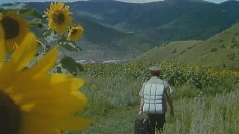 索伦河谷的枪声剧照的剧照